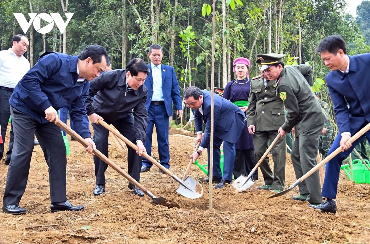 President pushes for stronger climate action at 2026 tree-planting launch